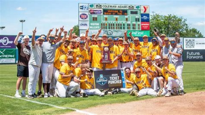 A Baseball Super Couple's Journey