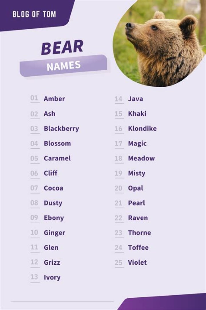 A Comprehensive Guide To Majestic Female Bear Names