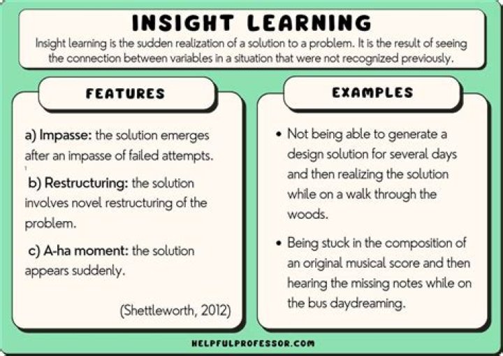 A Comprehensive Introduction And Insight