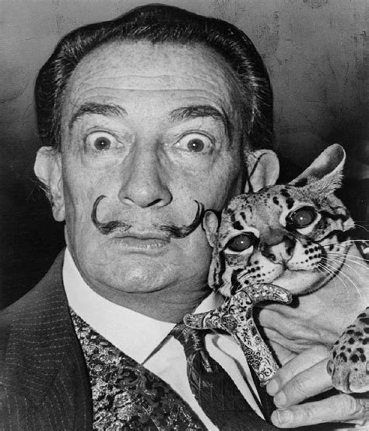 A Comprehensive Profile Of The Notable Figure