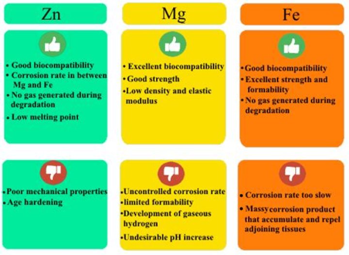 A Comprehensive Review Of Its Value And Worth