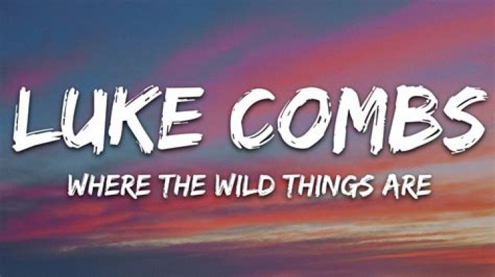 A Guide To Luke Combs' 