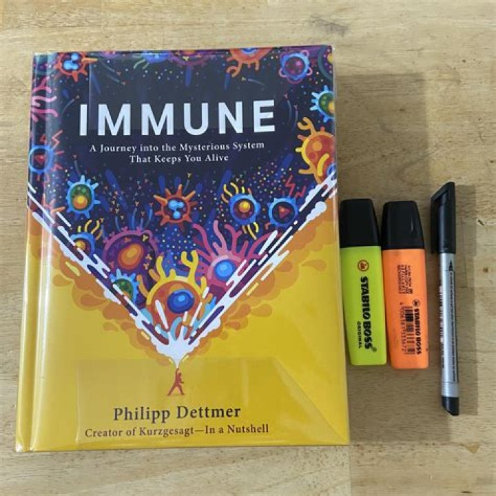 A Journey Into Identity And Fame