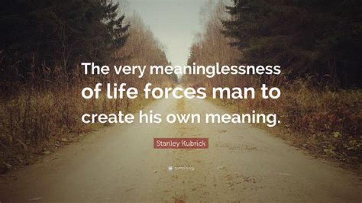 A Journey Into The Meaning Of Meaninglessness
