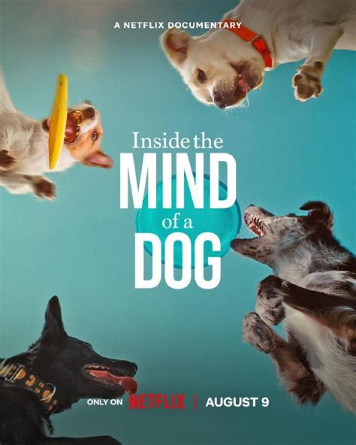 A Journey Into The Mind Of A Legal Maverick