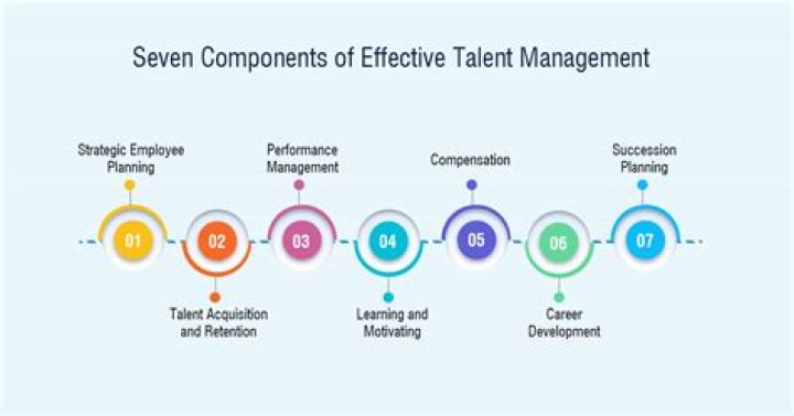 A Journey Of Talent, Success, And Intriguing Discoveries