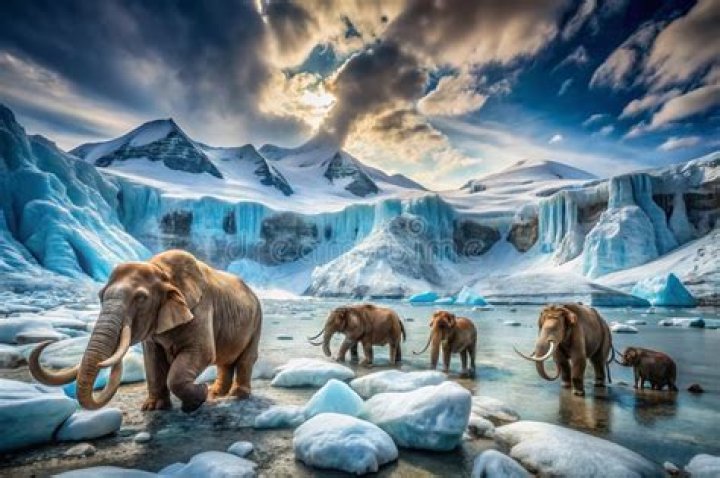 A Journey Through A Frozen Epoch