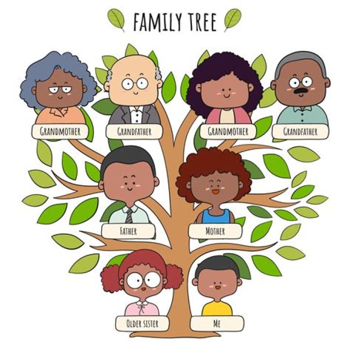 A Journey Through Family And Ancestry