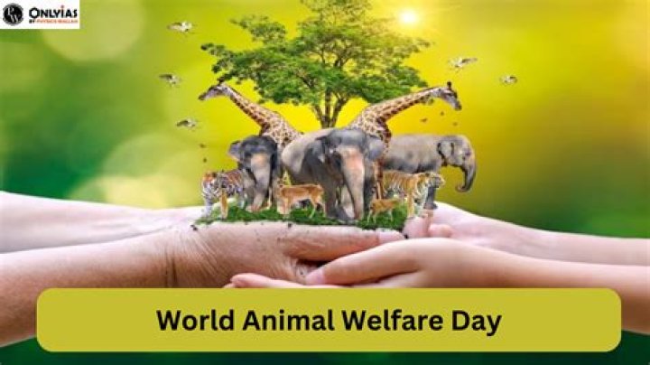 A Legacy Of Entertainment And Animal Welfare