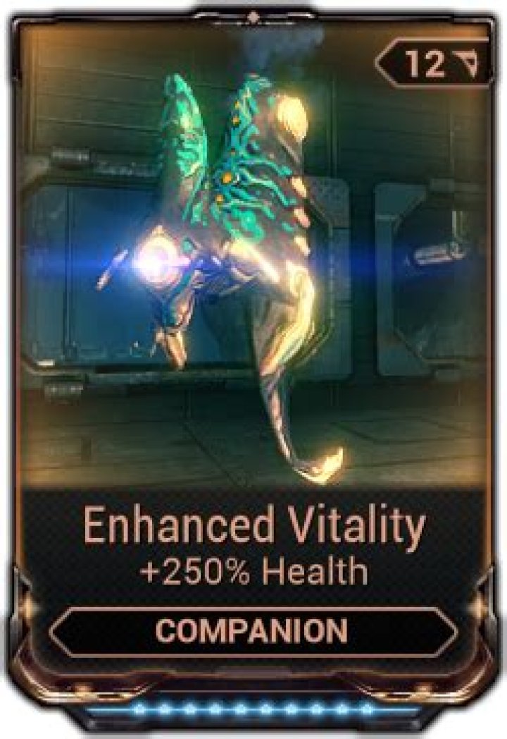 A Male's Guide To Enhanced Vitality