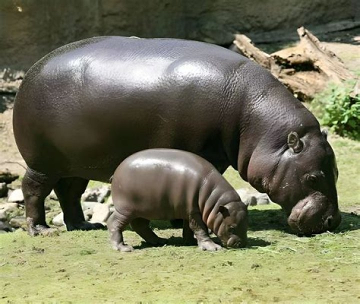 A Peek Into Their Family Ties