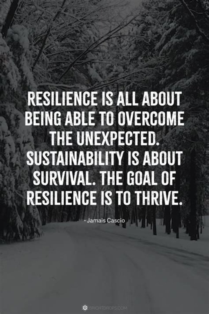A Picture Of Resilience And Inspiration