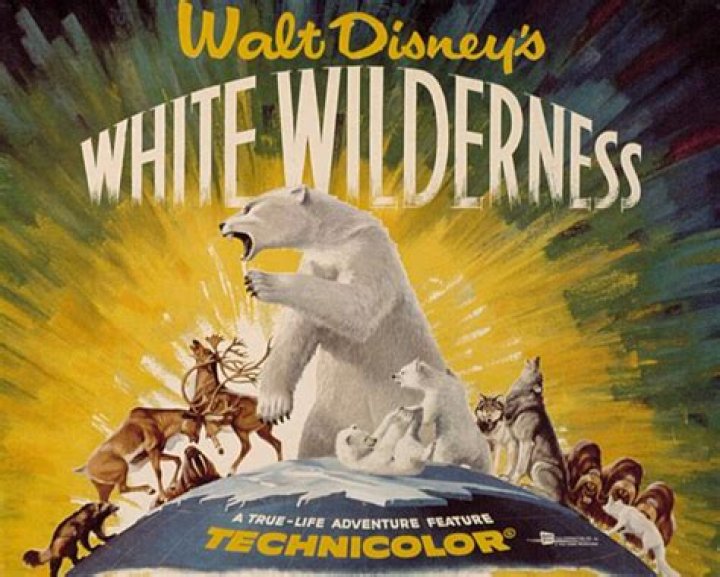 A Pioneering Life In The White Wilderness
