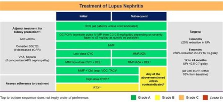 A Potential Treatment For Lupus That's Changing Lives