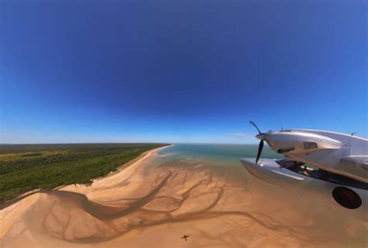 A Trailblazing Aviator And Advocate