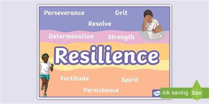 A Window Into Resilience And Advocacy