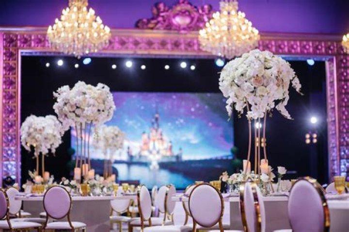 Adam Young Marries: Fairytale Wedding For Owl City Star
