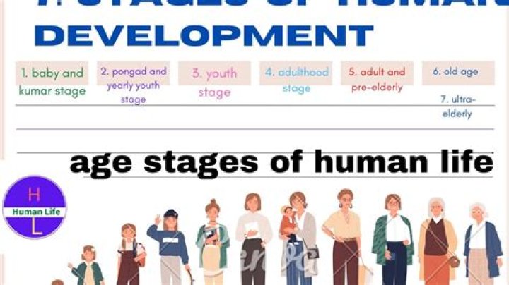 Age, Development, And Family Insights