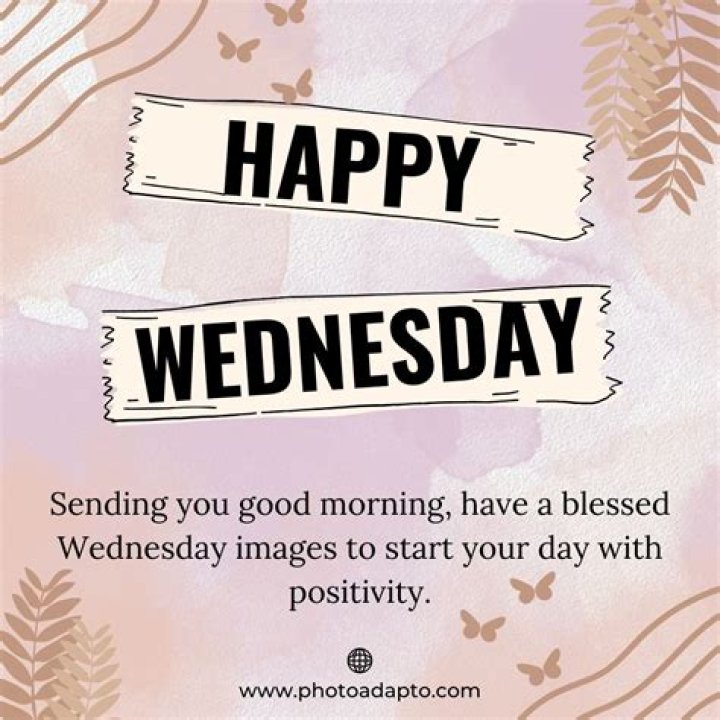 Amazing Hump Day Pictures To Brighten Your Midweek