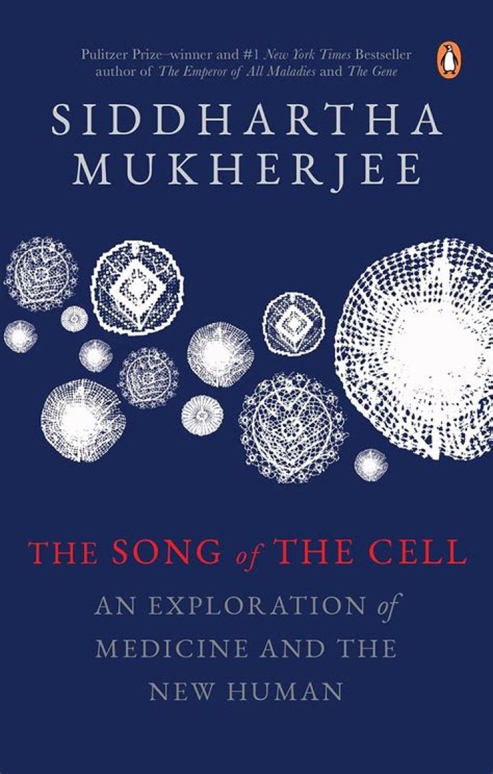 An Exploration Of His Visionary Storytelling