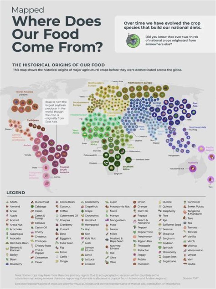 An Exquisite Guide To Their Origin And Effect
