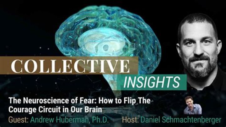 Andrew Huberman: Uncovering The Secrets Of A Celebrated Neuroscientist's Personal Life