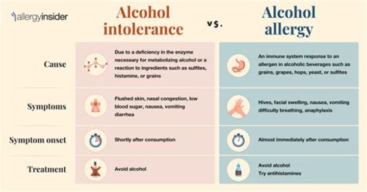 Antoni Alcohol Allergy: Symptoms, Causes, And Treatment