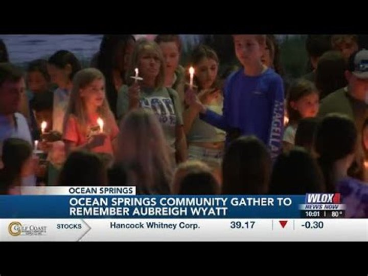 Aubreigh Wyatt Case Reddit: Unraveling The Mysterious Disappearance