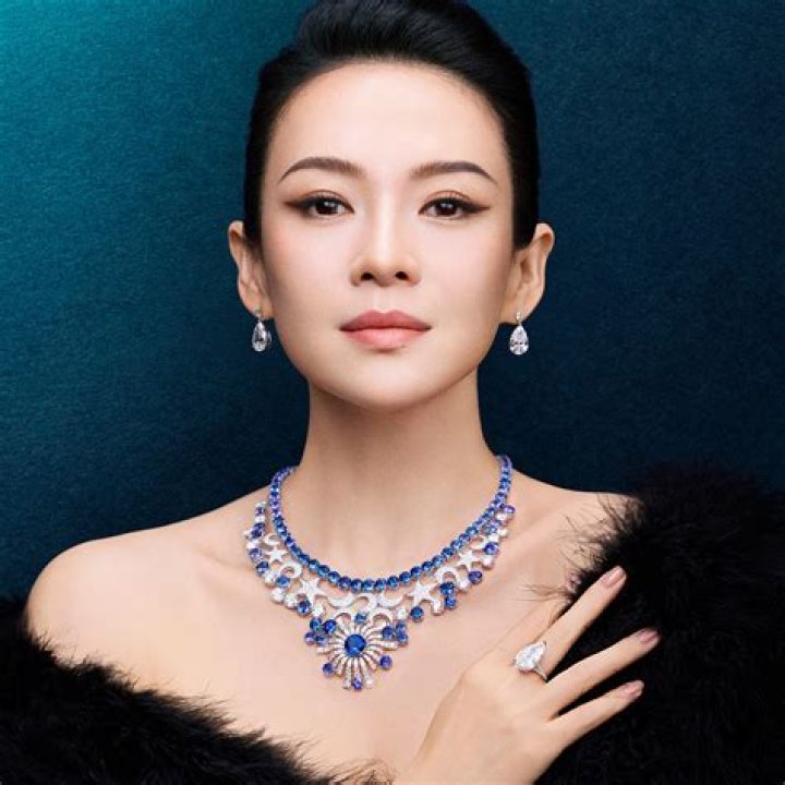 Aviv Nevo Is The Man Behind Zhang Ziyi's Success