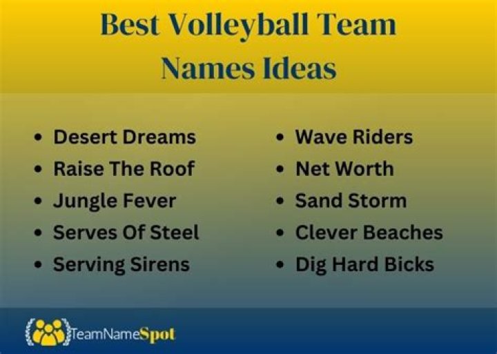 Awesome And Clever Team Names For Volleyball Enthusiasts