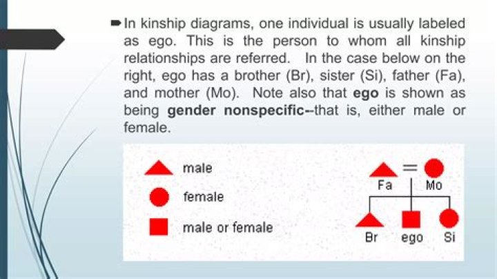 Breaking Down The Kinship: Oneil Cruz And De La Cruz's Family Connection