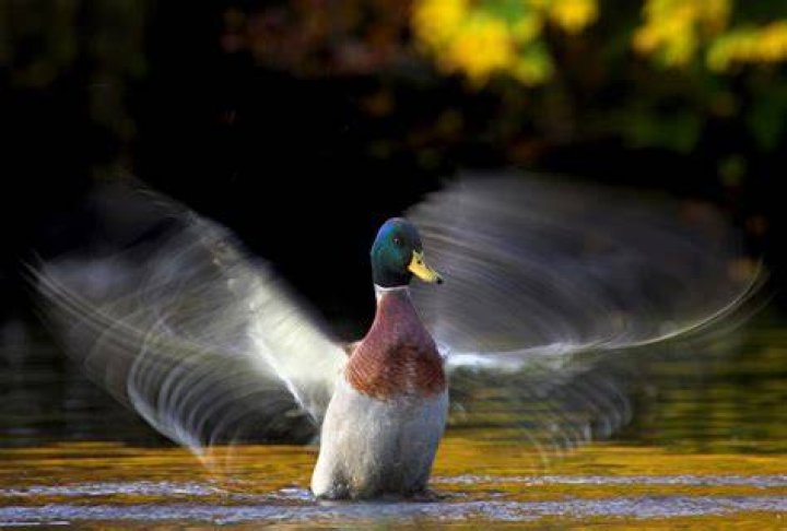 Brenna Nolan's Stunning Photography: Capturing The Extraordinary
