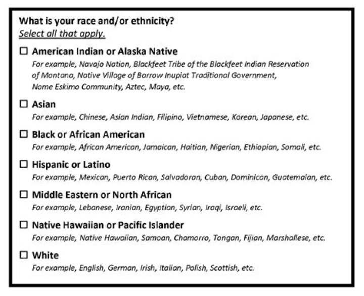 Bubba Wallace's Ethnicity And Its Impact