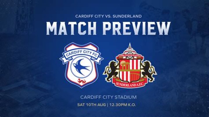 Cardiff City vs. Hertha live match 25 July 2024