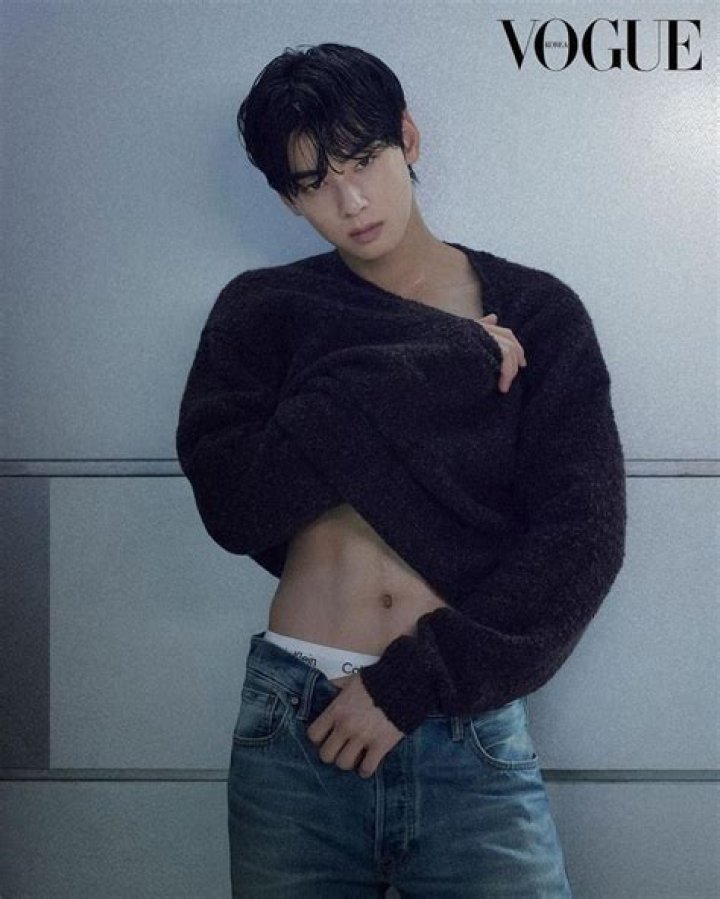 Cha Eun-Woo: Exploring His Romantic History And Current Relationships