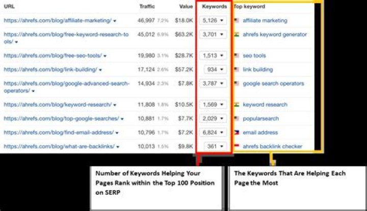 Check Your Website's Google Ranking: Effortless Position Analysis