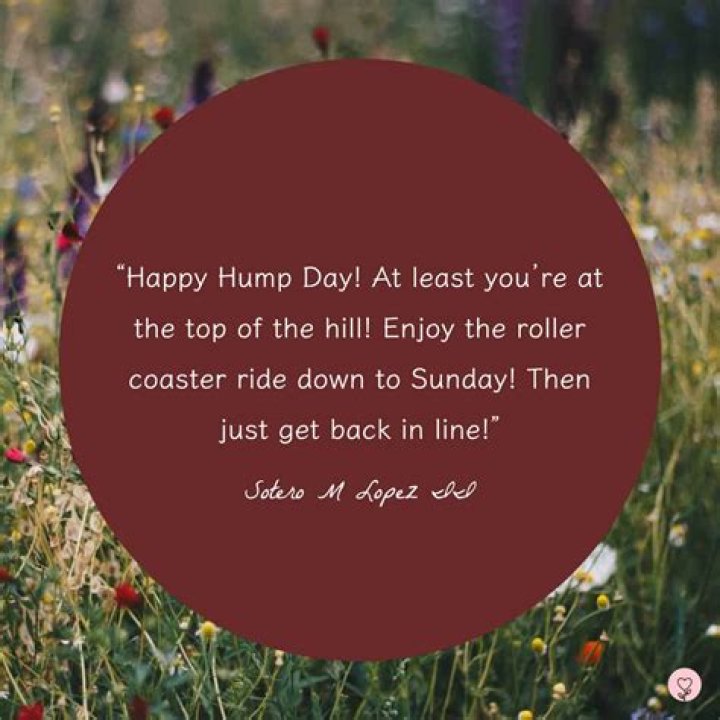 Cheerful Hump Day Photo Gallery