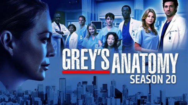 Complete Guide To The Number Of Seasons Of Grey's Anatomy: An Extensive Overview
