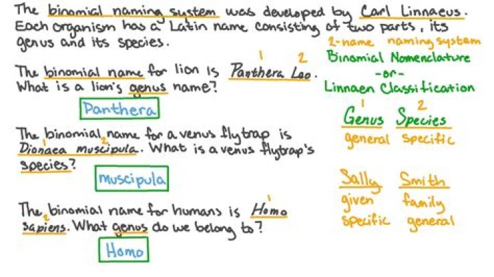 Determine The Order Of Names In The Binomial System