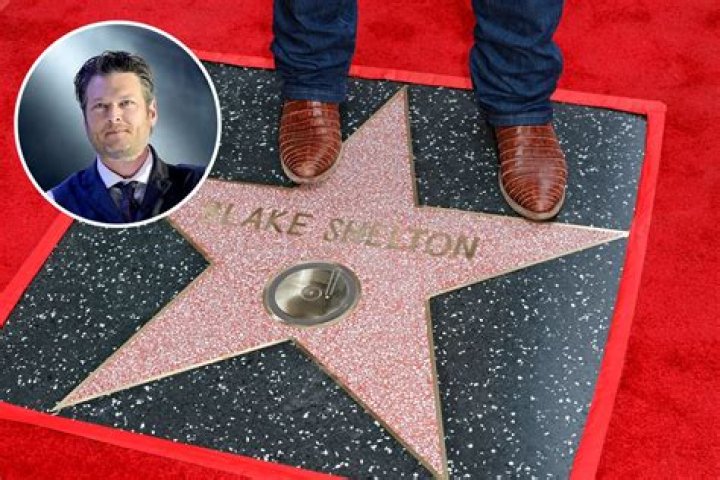 Did Blake Shelton Have A Twin Brother? - A Revealing Exploration
