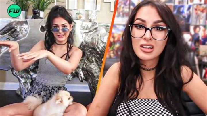 Did SSSniperwolf's Popularity Take A Hit: Exploring Follower Loss