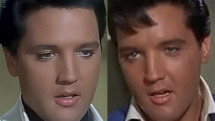 Did You Know Elvis Had An Identical Twin?