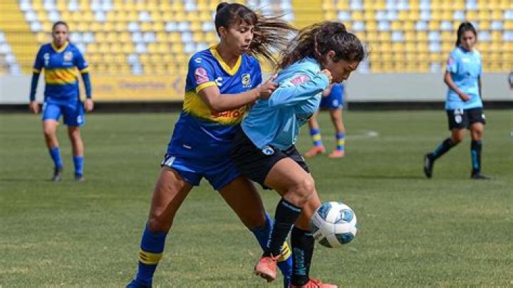 [directo tv!] Everton - Iquique en vivo ver partido ¿A Qué Hora Juega Deportes Iquique? 26.07.2024