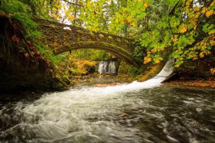 Discover Bellingham: Exploring Its Countryside