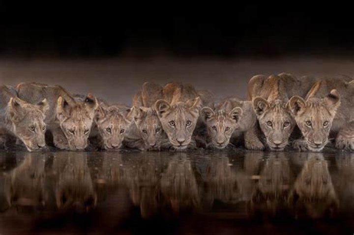 Discover Stunning Photography By Award-Winning Photographer Brenna Nolan