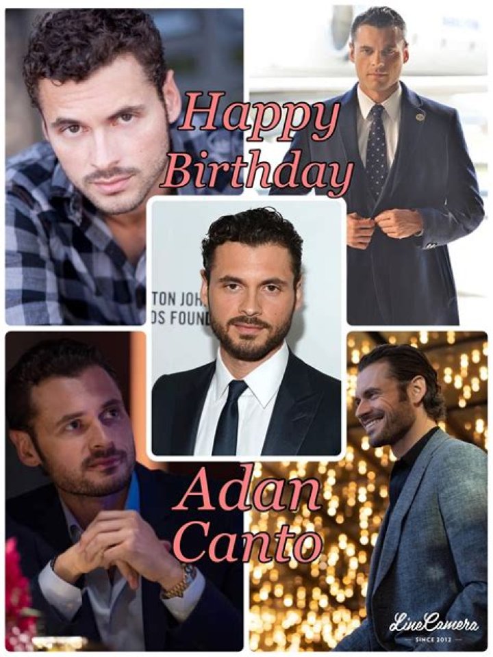 Discover The Artistry Of Adam Canto