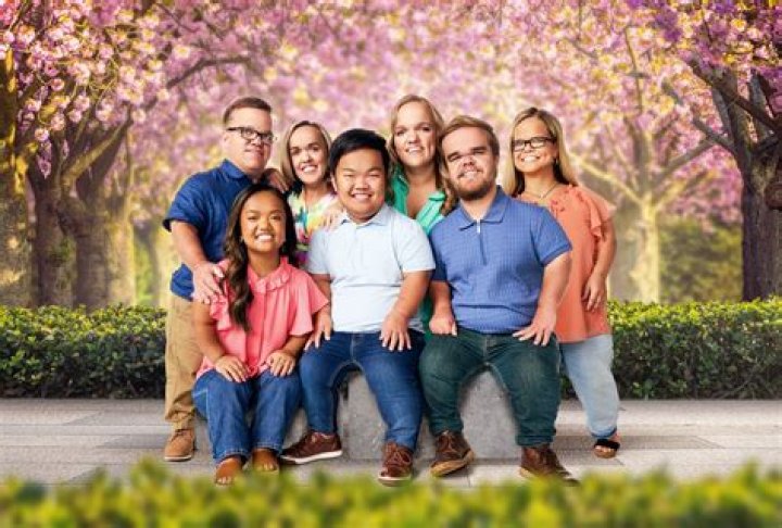 Discover The Enchanting Town Of 7 Little Johnstons