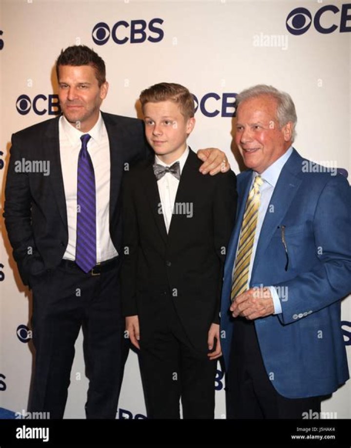 Discover The Family Life Of David Boreanaz: Meet His Children