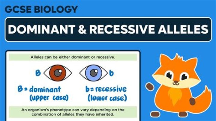 Discover The Impact Of Recessive Alleles On Seed Shape: Understanding Inheritance Patterns
