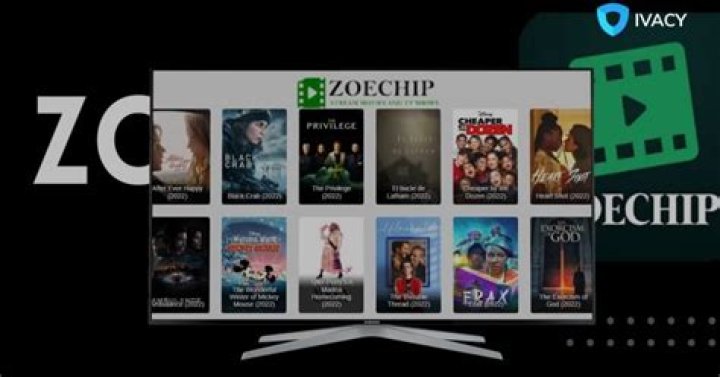 Discover The Latest And Greatest Zoechip Movies